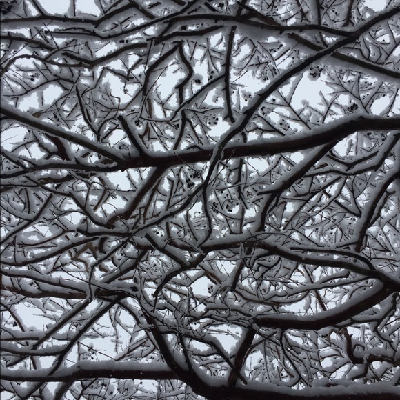 Meet your Posher, Ariel - Picture 1 of 1